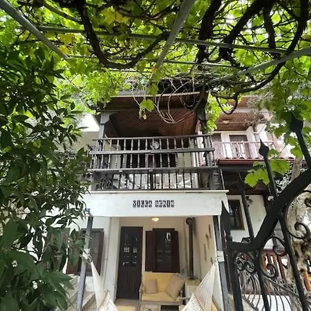 بيت للعطل Serin